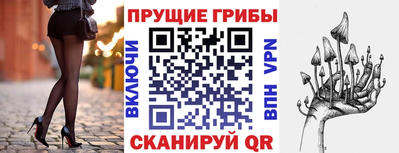 Галлюциногенные грибы ЛСД  Вытегра 